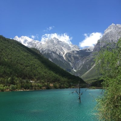 Jianping Liu (@jianping_liu) | StartupBase
