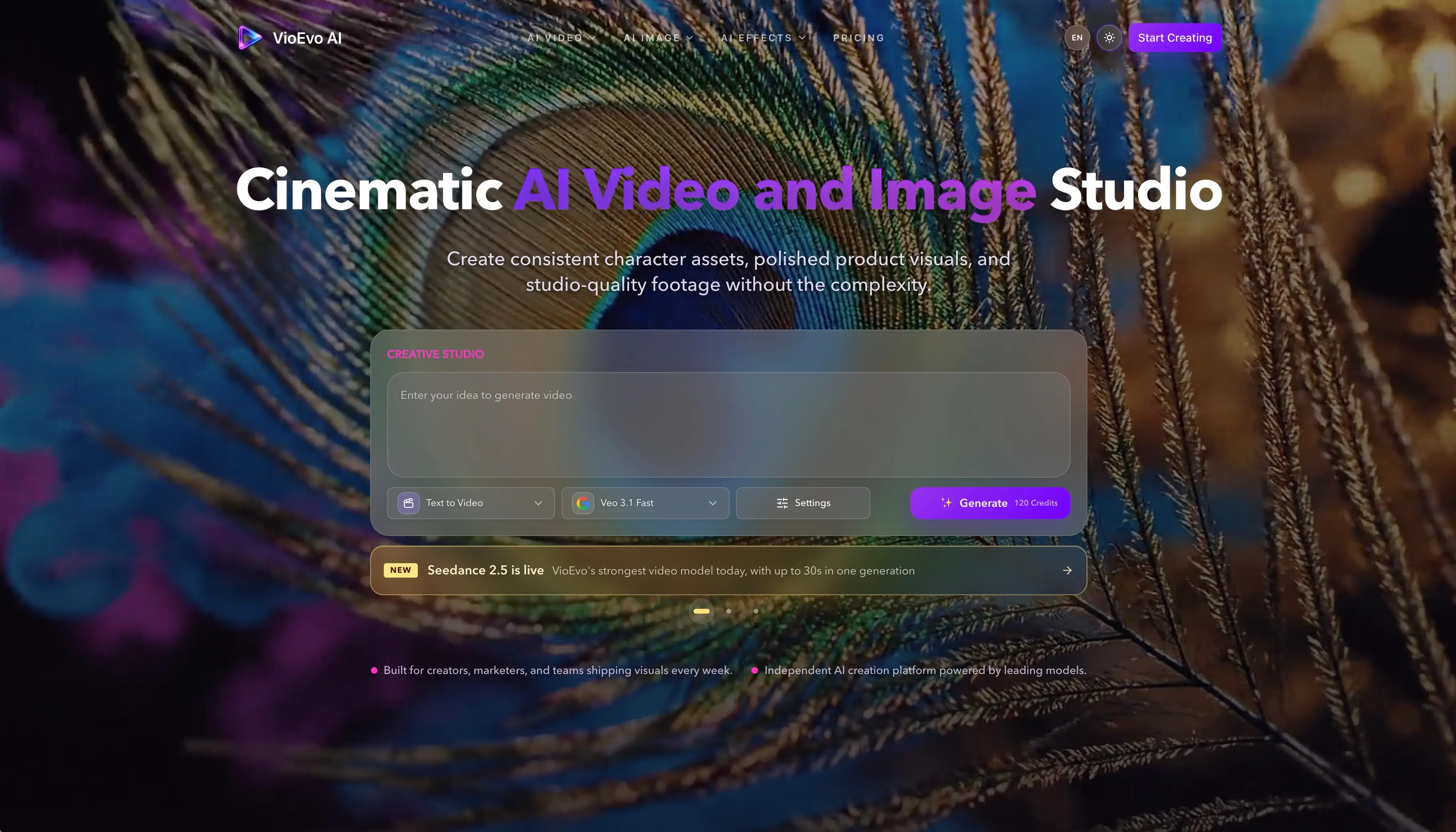 The VioEvo studio, with the model picker and settings alongside the generation preview